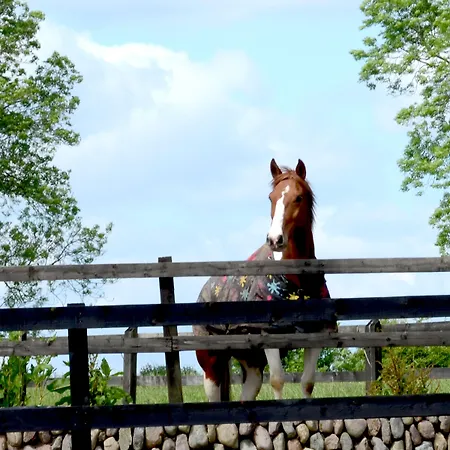 Cannaway House Bed & Breakfast