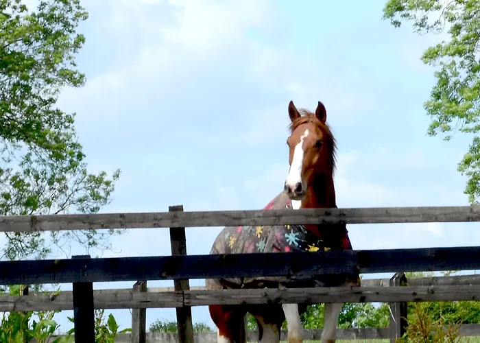 Cannaway House Bed & Breakfast